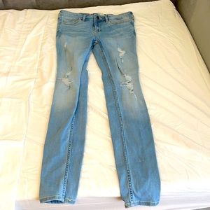 Hollister Jean